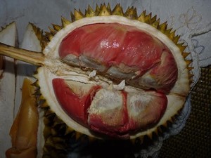 Wajib Coba! Ini 5 Jenis Durian Paling Enak Asli Indonesia