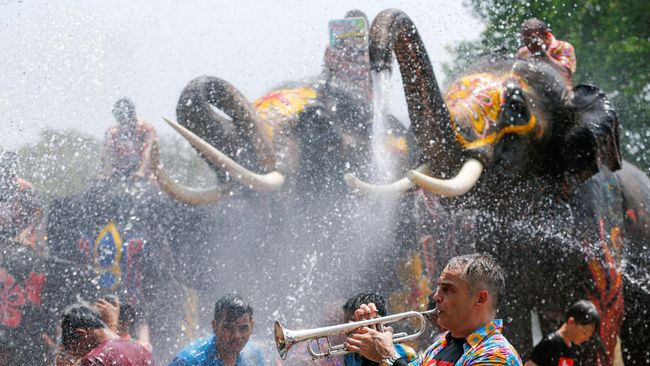 Kawanan Gajah Meriahkan Festival Songkran di Thailand
