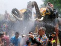 Kawanan Gajah Meriahkan Festival Songkran di Thailand