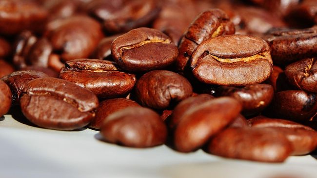 Kopi Terbaik Indonesia Hadir di Festival Kerinci 2018
