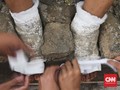 Bertahan di Istana Melawan Pabrik Semen