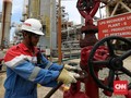 Pertamina Bidik Investasi Blok Mahakam Lebih Awal
