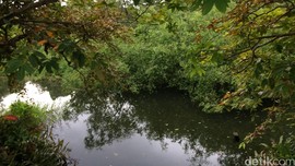Pemberdayaan Jadi Kunci Dongrak Produktivitas Hutan Rakyat