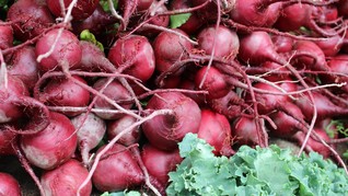 Makanan Sehat untuk Tingkatkan Hemoglobin Darah