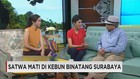 KASUS KEMATIAN SATWA DI KEBUN BINATANG SURABAYA