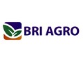 BRI Agro Bagikan Dividen Rp15,2 Miliar ke Pemegang Saham