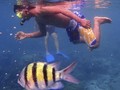 Terpesona Indahnya Alam Bawah Laut Pulau Weh