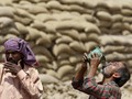 Gelombang Panas di India Tewaskan 100 Orang