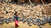Seorang anak berdiri sehabis memberi makan sekumpulan burung merpati di pelataran Kuil Jagannath yang dipenuhi batu bata dari reruntuhan bencana gempa bumi di kawasan Durbar Square, Kathmandu. (Reynold Sumayku)