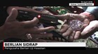 Berlian Sidrap Milik Warga Sulawesi