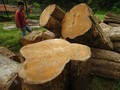 SVLK Belum Maksimal, Kemenperin Siap Rombak Aturan
