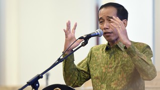 Jokowi Minta Dua Bandara di Jambi Rampung Tahun Depan