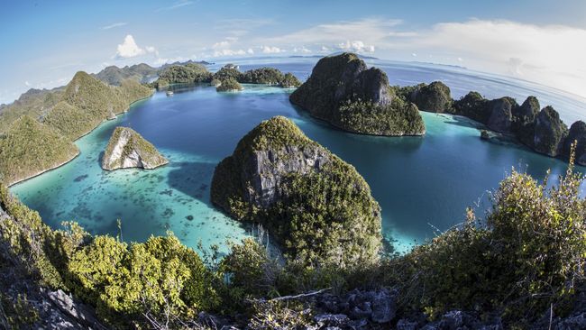 Jangan Takut Buaya Raja Ampat