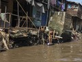 Ahok Sebut Pemukiman di Tepi Ciliwung Seperti Kandang Burung