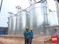 Investasi Empat Smelter Bakal Rampung di Akhir Tahun
