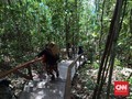 Menjelajahi Alam Papua Barat