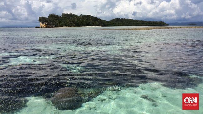 Nikmati Festival Bahari Raja Ampat dengan Kapal Sangiang