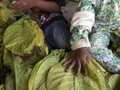Tekan Jumlah Pekerja Anak, Kemenaker Berharap CSR Pendidikan