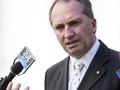 Wakil PM Australia Kaitkan Impor Ternak Indonesia dan Imigran