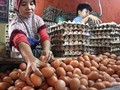 Jelang Puasa, Harga Telur dan Ayam Sudah Merangkak Naik