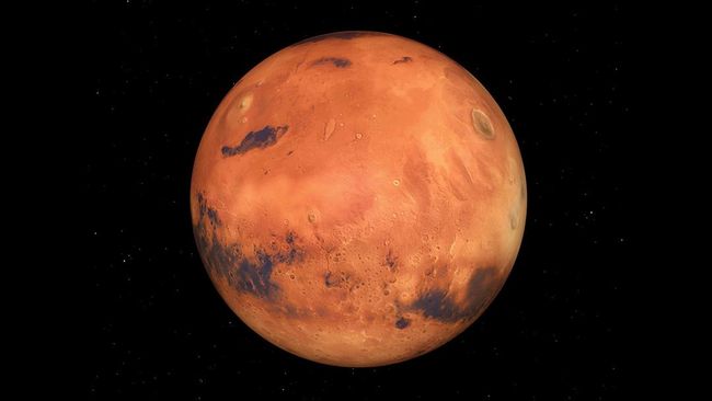 Setelah Tomat, Bayam Diharapkan Bisa Tumbuh di Mars