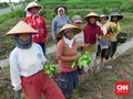 Industri Tembakau Akui Ketidakadilan atas Petani