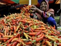 Harga Cabai Melonjak, Pemerintah Salahkan Hujan