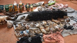 Thailand Dakwa 22 Orang terkait Perdagangan Satwa Liar
