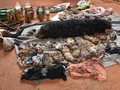 Thailand Dakwa 22 Orang terkait Perdagangan Satwa Liar