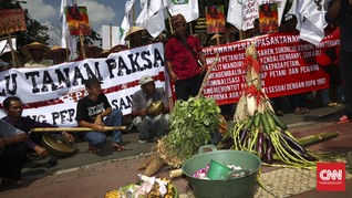 Redup Isu HAM dan Kilap Investasi di Pidato Jokowi
