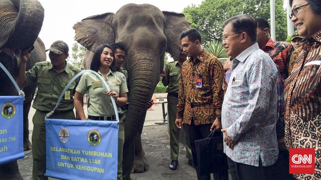 KLHK Berencana Sensus Satwa Liar di Luar Habitat