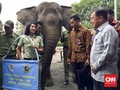 Buka Pekan Lingkungan Hidup, JK Disambut Dua Gajah