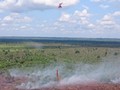 Pemerintah Akan Ambil Alih Lahan Swasta yang Masih Terbakar