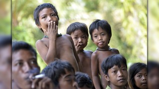 Populasi Orang Rimba Terancam, Komnas HAM Turun Tangan