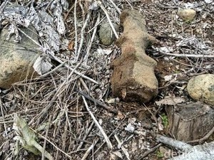 Misteri Batu Bidak Catur dan Jejak Bangsa Kekar Tiang di Ciletuh