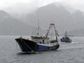 Indonesia Bentuk Tim Pakar Tangani Laut China Selatan