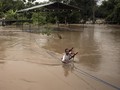 Sungai Bengawan Solo Siaga Banjir
