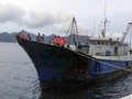 TNI Tembak Kapal China, Jokowi Sebut Kedaulatan Harga Mati