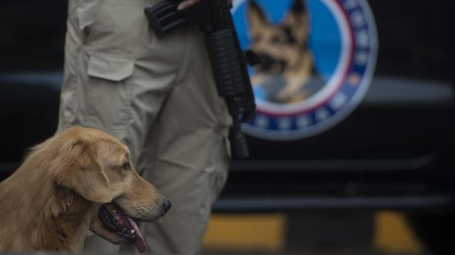 Cegah Narkoba Tahun Baru, Anjing Polisi Cek Bus Keluar Aceh