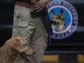 Cegah Narkoba Tahun Baru, Anjing Polisi Cek Bus Keluar Aceh