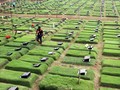 Istri Tukul Arwana Meninggal Dunia