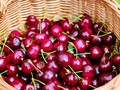 Jenis Buah yang Sebaiknya Dihindari Pengidap Diabetes