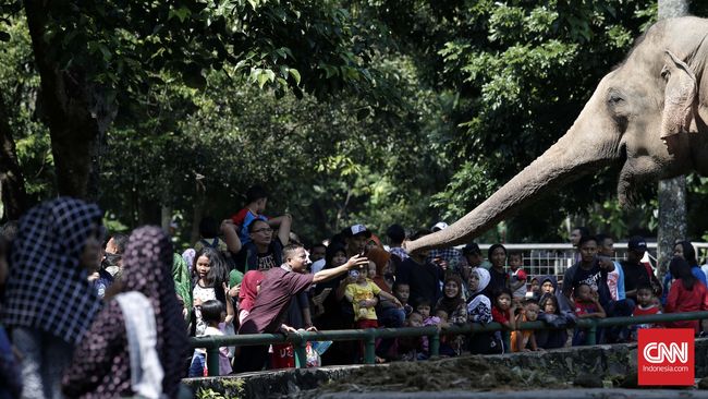 Bonbin Ragunan, Wisata Favorit Keluarga