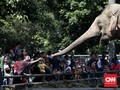 Kebun Binatang Ragunan Dukung Program Jakarta Smart City