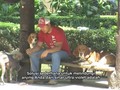 Tips Merawat Anjing saat Musim Panas Tiba