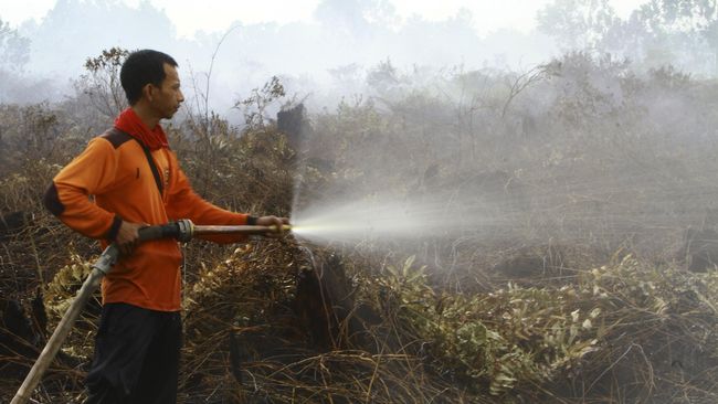 Jumlah Titik Api di Indonesia Berkurang 74,21 Persen