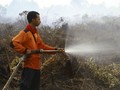 Jumlah Titik Api di Indonesia Berkurang 74,21 Persen