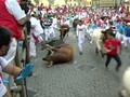 Kehebohan Dikejar Banteng di Spanyol