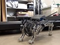 Peneliti Jepang Bikin Robot 'Anjing Chihuahua'