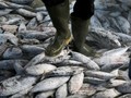 AS Puji Indonesia soal Pemberantasan Pencurian Ikan